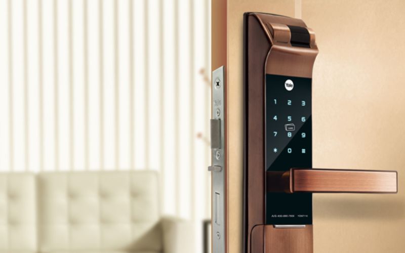 thiết kế cửa và nội thất
