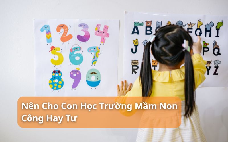nên cho con học trường mầm non công hay tư