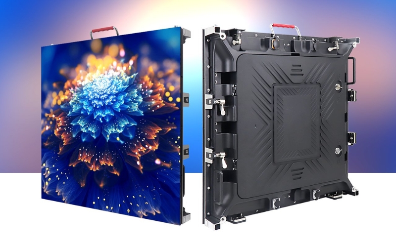 cấu tạo cơ bản