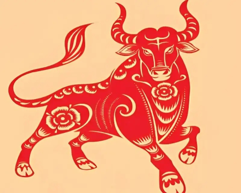 Tổng quan người tuổi Sửu